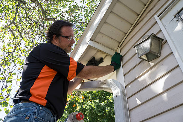 Shed Removal in Farmersville, CA